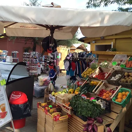 Serenella キャンプ場