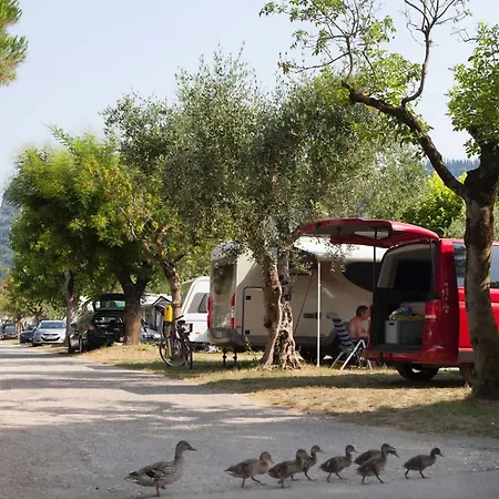 Campsite Serenella